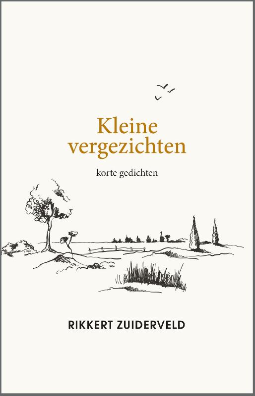 Omslag van Kleine vergezichten