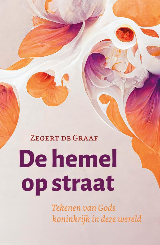Omslag van De hemel op straat