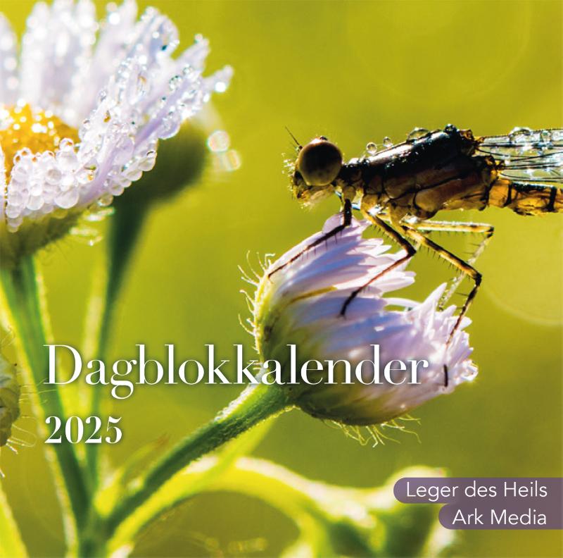 Omslag van Dag in dag uit 2025