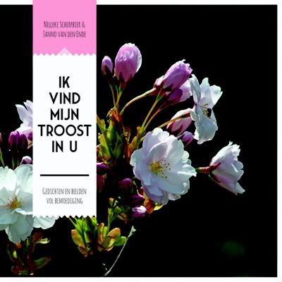 Omslag van Ik vind mijn troost in u