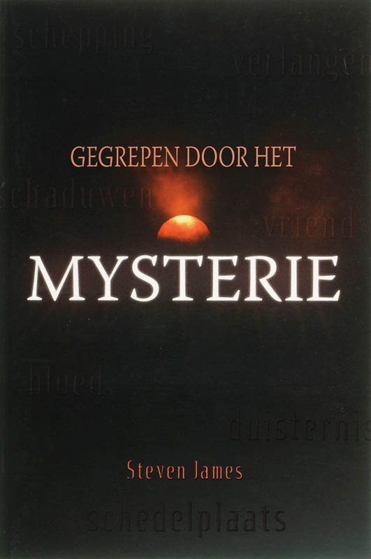 Omslag van Gegrepen door het mysterie