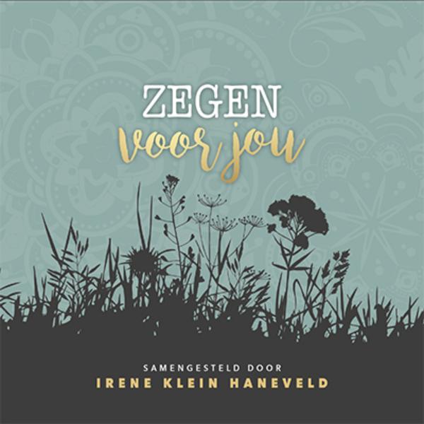Omslag van Zegen voor jou
