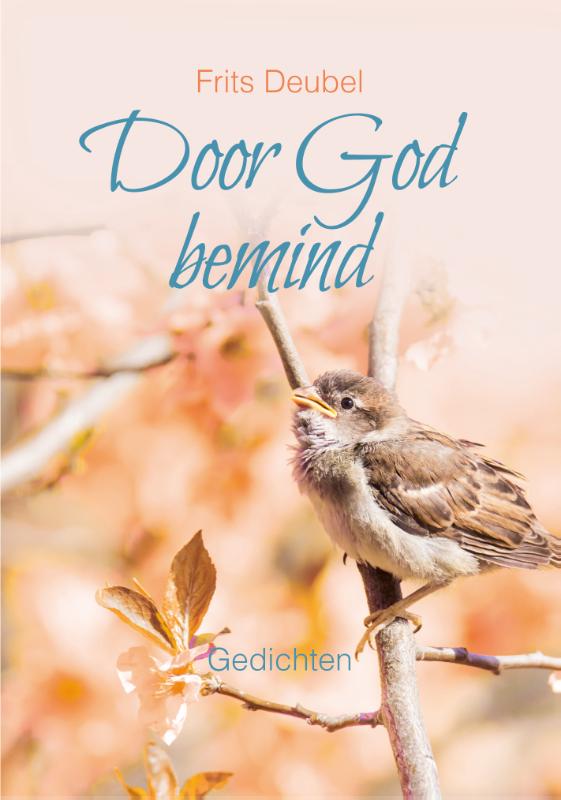 Omslag van Door God bemind
