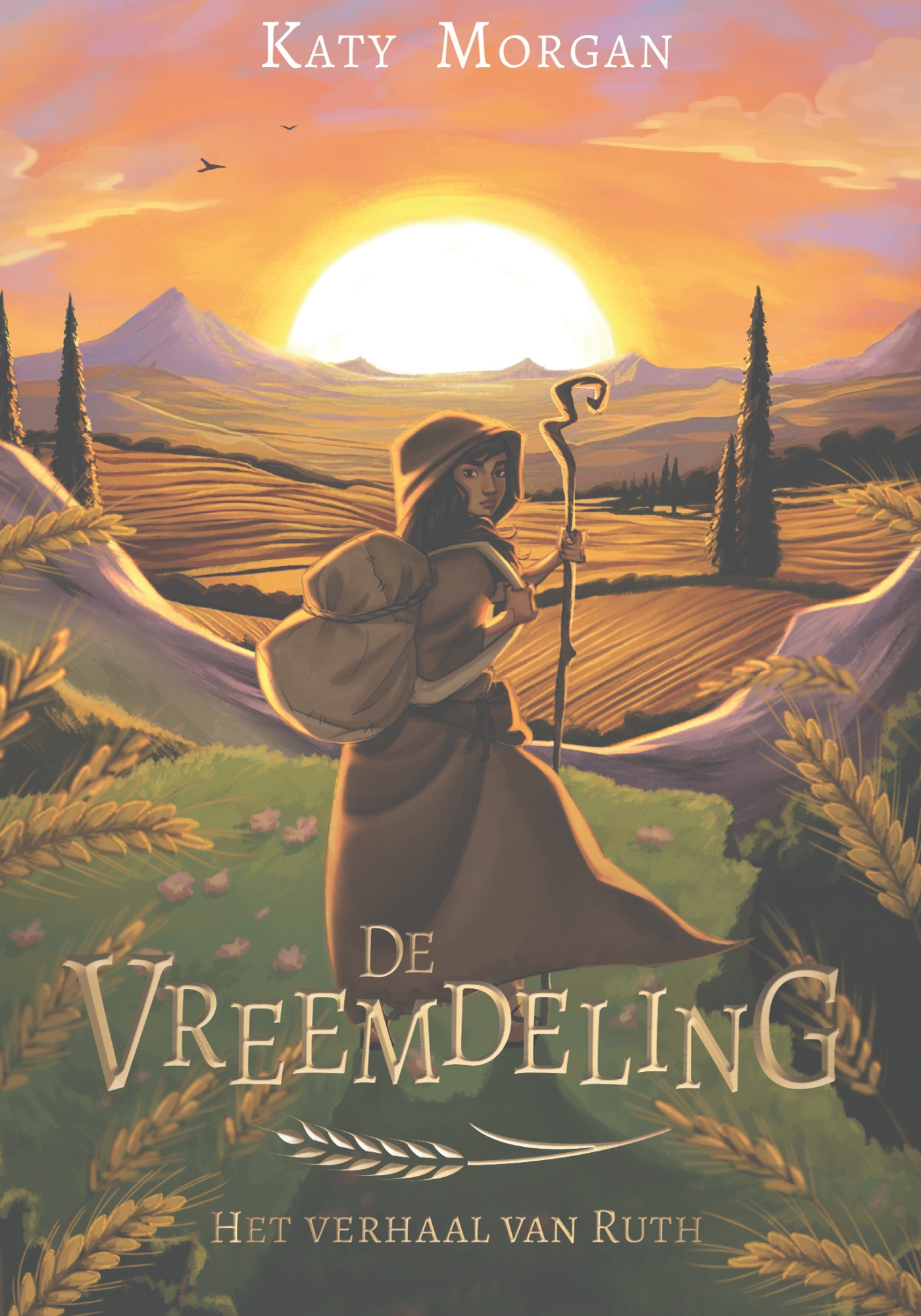 Omslag van De vreemdeling