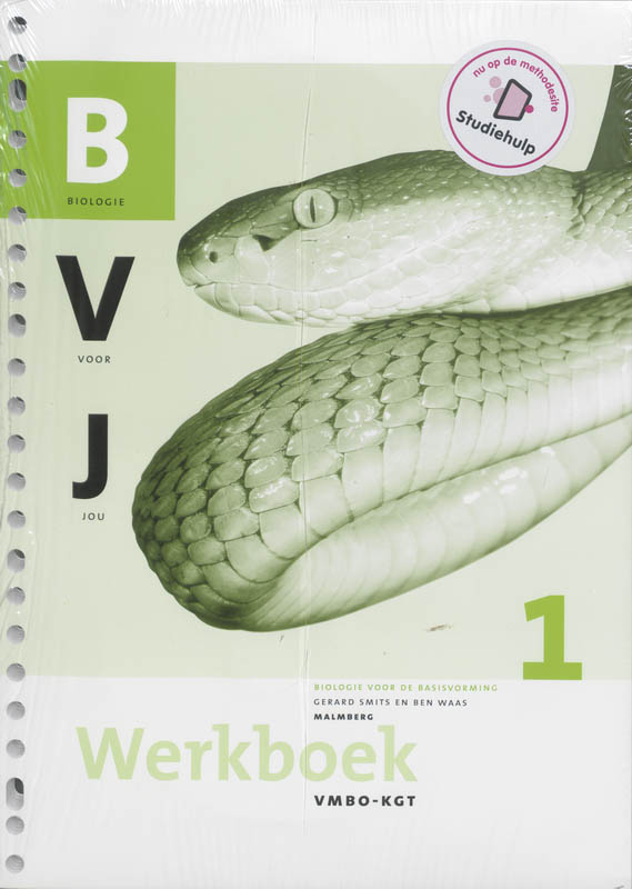 Omslag van Werkboek
