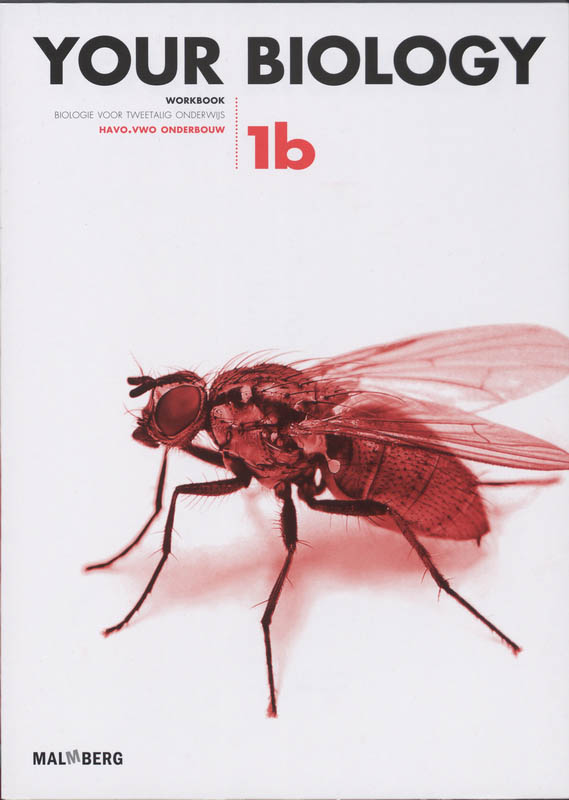 Omslag van Werkboek