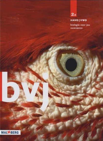 Omslag van werkboek deel 2a