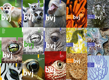Omslag van handboek deel 2b