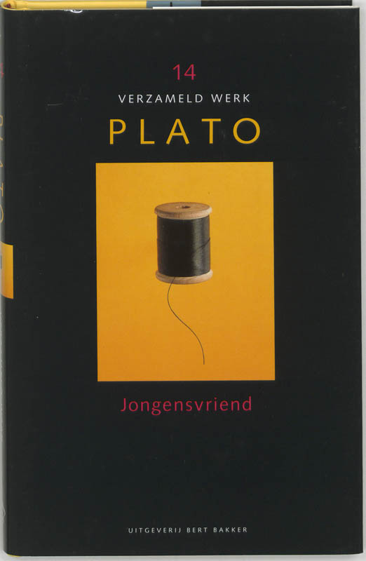 Omslag van Jongenswerk