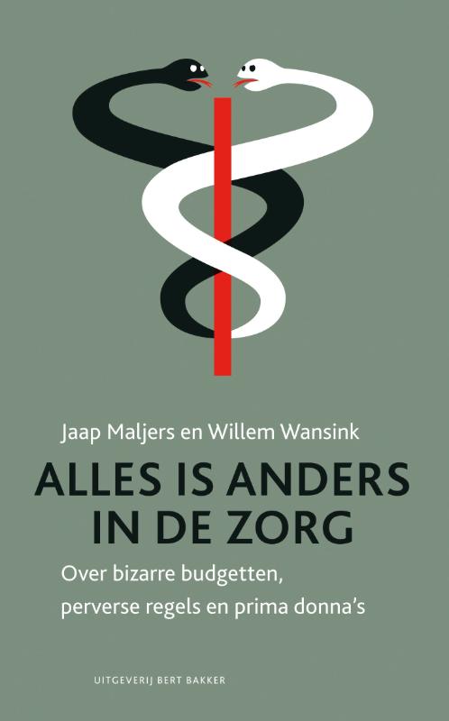 Omslag van Alles is anders in de zorg