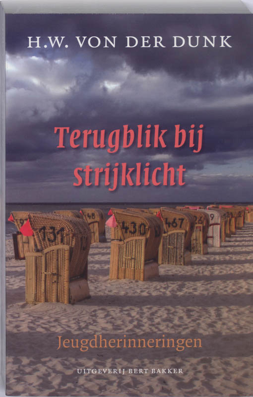 Omslag van Terugblik bij strijklicht
