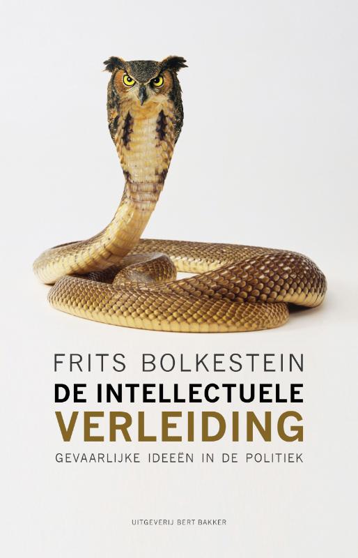 Omslag van Intellectuele verleiding
