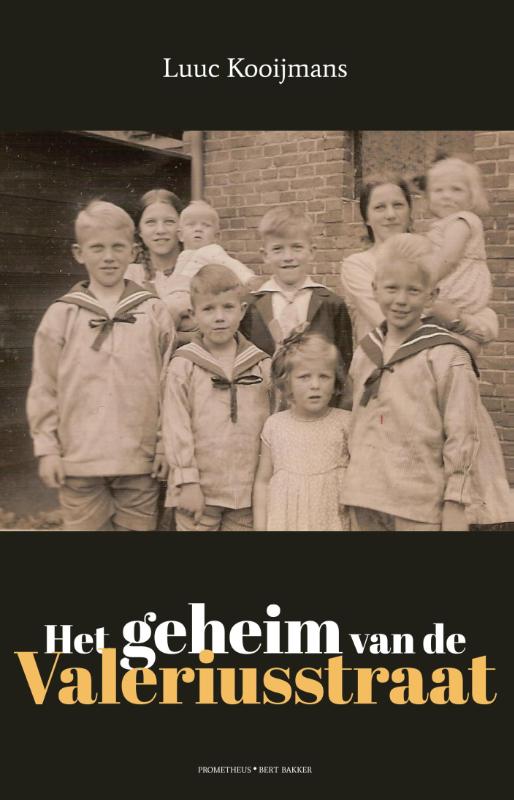 Omslag van Het geheim van de Valeriusstraat