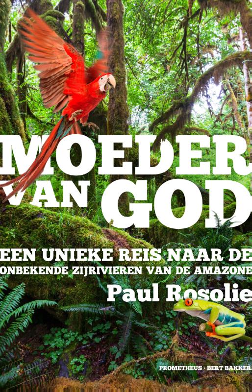 Omslag van Moeder van God