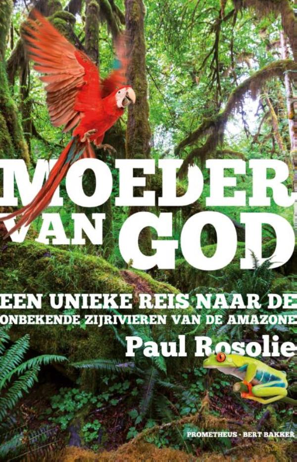 Omslag van Moeder van God