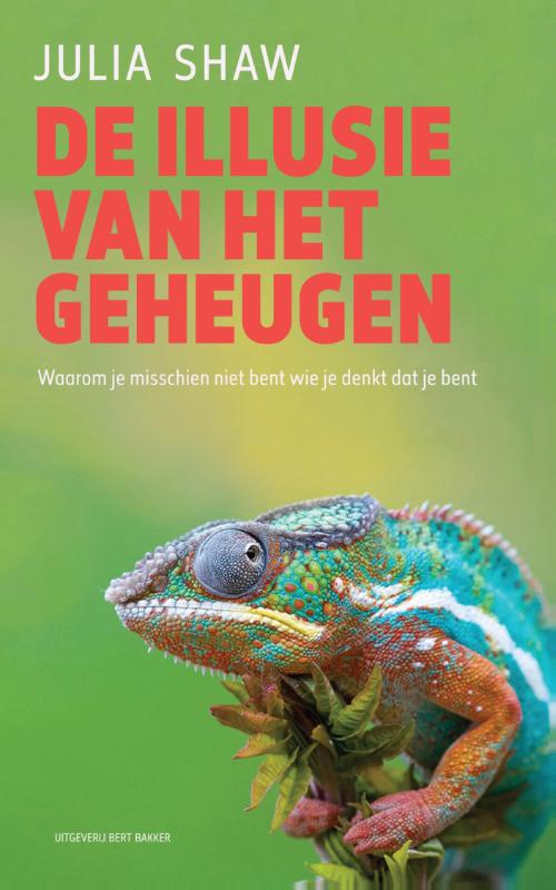 Omslag van De illusie van het geheugen