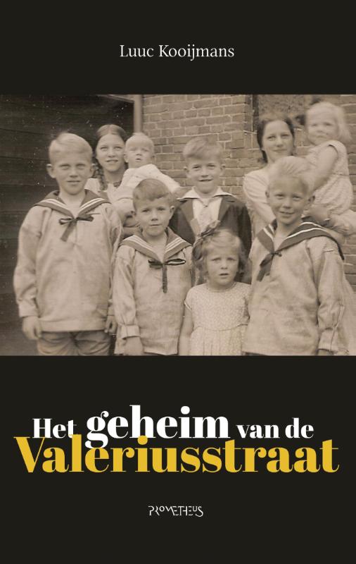 Omslag van Het geheim van de Valeriusstraat