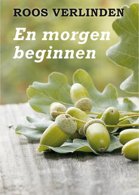 Omslag van En morgen beginnen