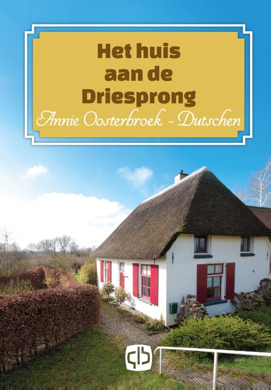 Omslag van Het huis aan de driesprong