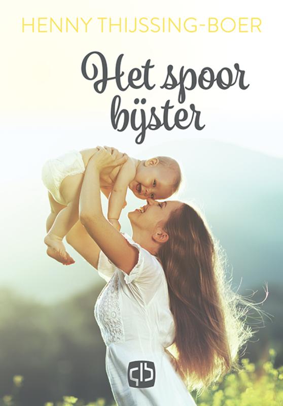 Omslag van Het spoor bijster