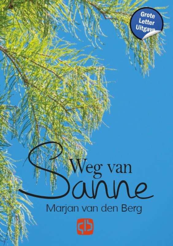 Omslag van Weg van Sanne