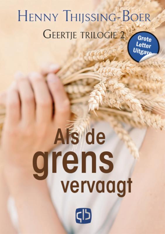 Omslag van Als de grens vervaagt