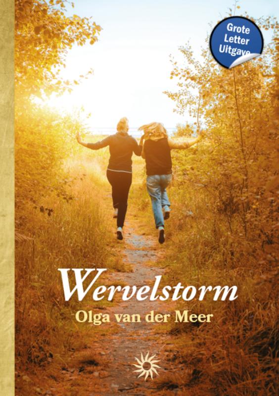 Omslag van Wervelstorm