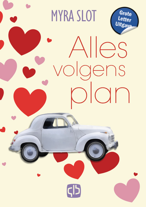 Omslag van Alles volgens plan