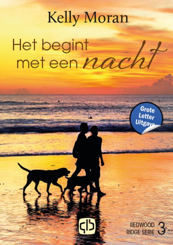 Omslag van Het begint met een nacht