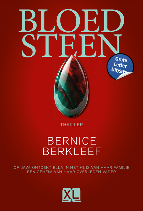 Omslag van Bloedsteen - Grote Letter Uitgave