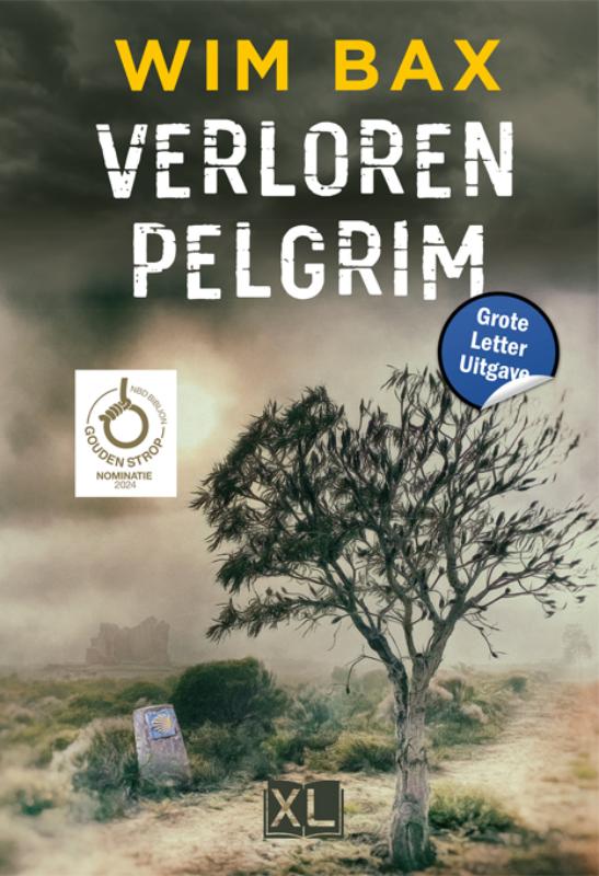Omslag van Verloren pelgrim - Grote Letter Uitgave