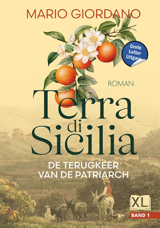 Omslag van De terugkeer van de patriarch - Grote Letter Uitgave (in 2 banden)