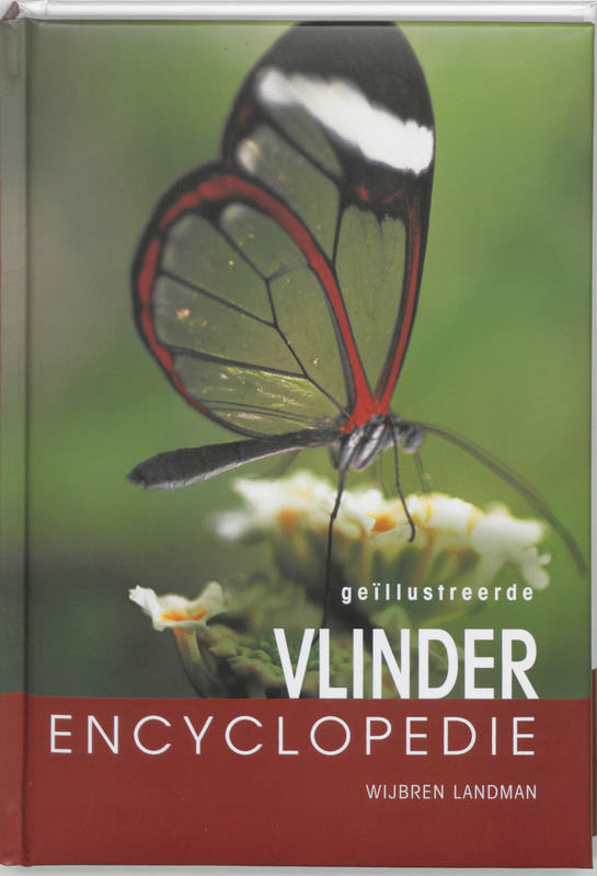 Omslag van Vlinder encyclopedie