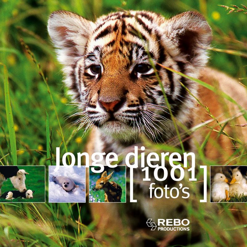 Omslag van Jonge dieren
