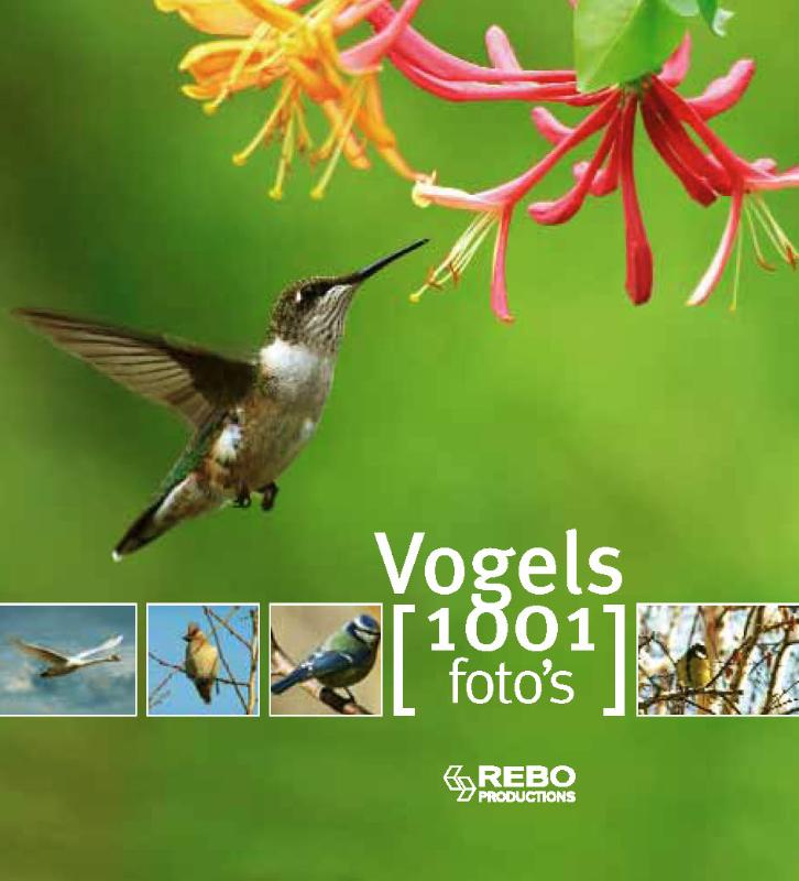 Omslag van Vogels 1001 foto's