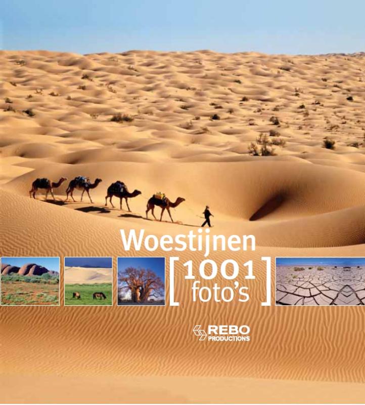 Omslag van Woestijnen