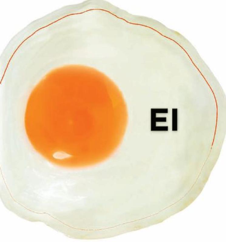 Omslag van Ei