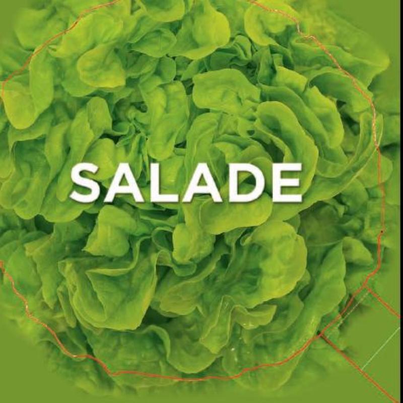 Omslag van Salade