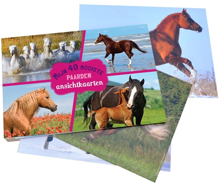 Omslag van Mijn 40 mooiste paarden