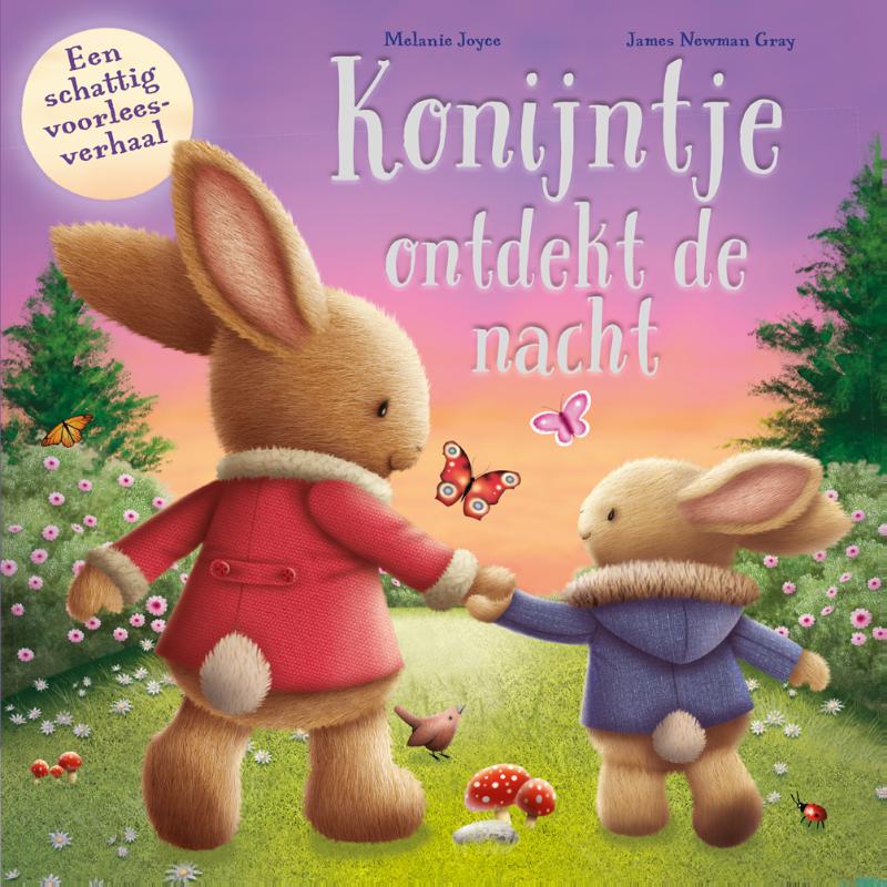 Omslag van Konijntje ontdekt de nacht