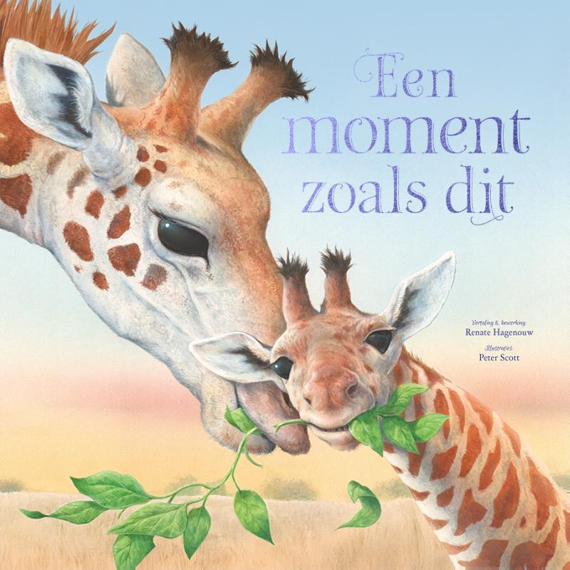 Omslag van Een moment zoals dit