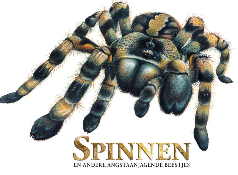 Omslag van Spinnen en andere angstaanjagende beestjes