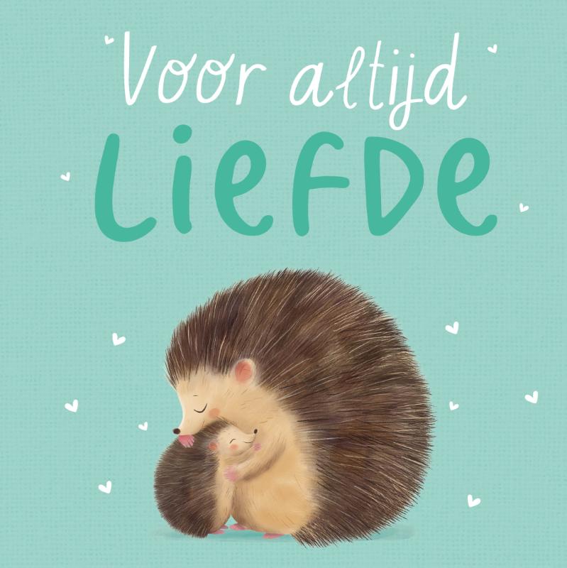 Omslag van Voor altijd liefde