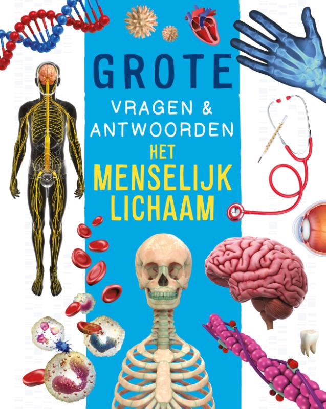 Omslag van Het menselijk lichaam - Grote vragen & antwoorden