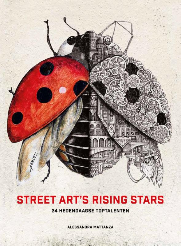 Omslag van Street art's rising stars