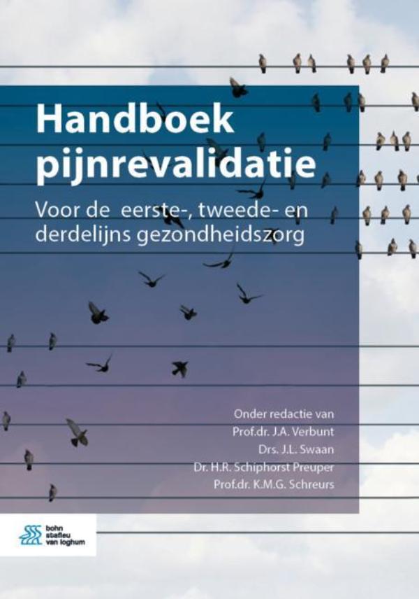 Omslag van Handboek pijnrevalidatie