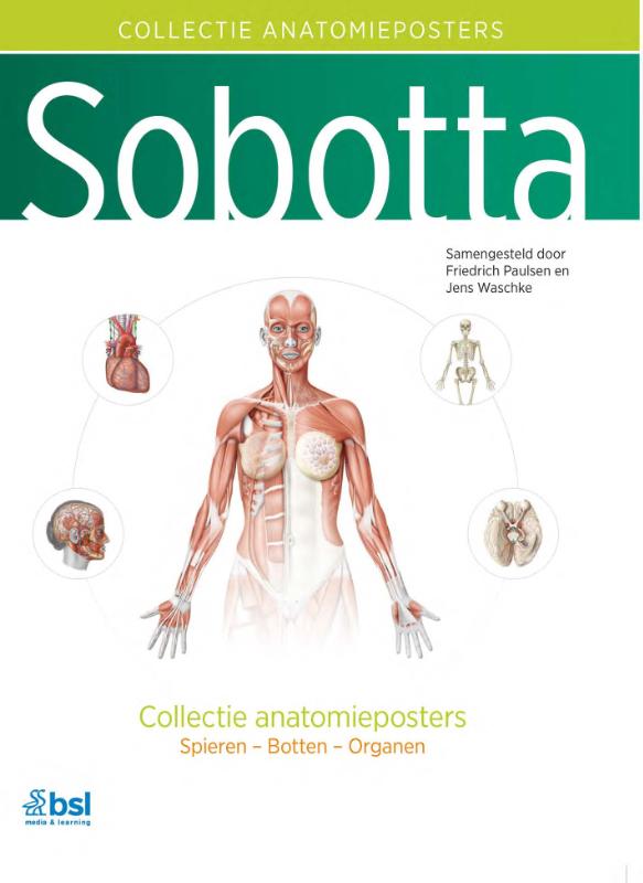 Omslag van Sobotta - Collectie anatomieposters