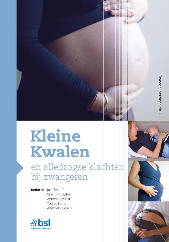 Omslag van Kleine Kwalen en alledaagse klachten bij zwangeren