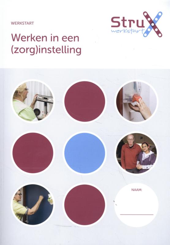 Omslag van Werken in een zorginstelling