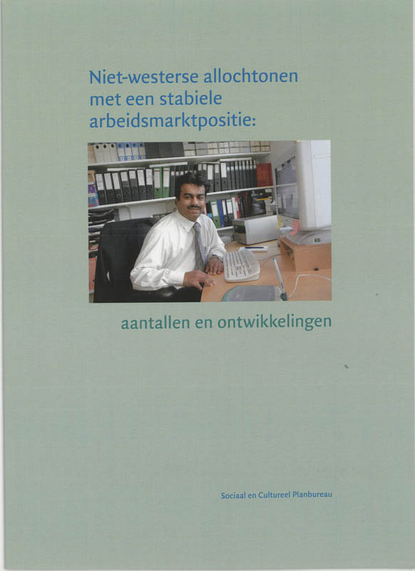 Omslag van Niet-westerse allochtonen met een stabiele arbeidsmarktpositie